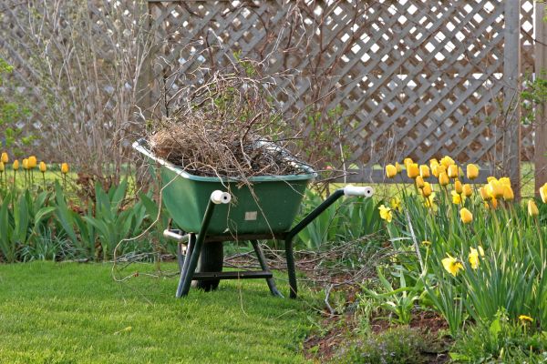 Flower Bed Cleanup Service in Utica