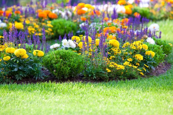 Flower Bed Maintenance in Utica