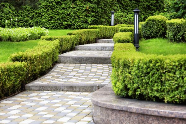 Backyard Remodeling in Utica