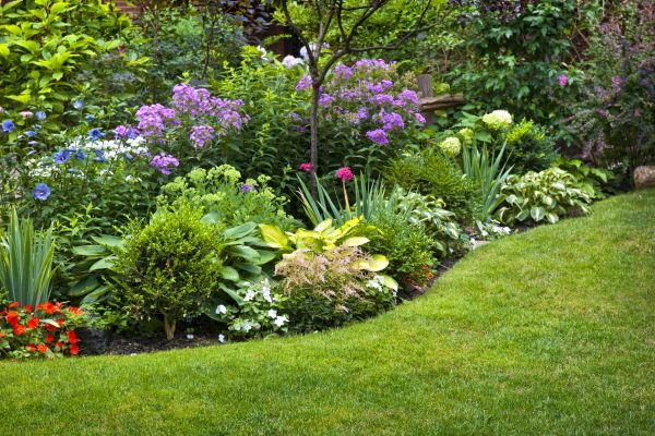 Flower Bed Service in Utica