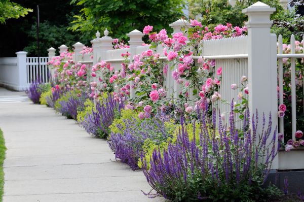 Garden Handyman Service in Utica