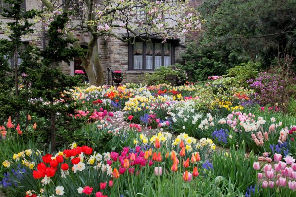 Garden Maintenance Service in Utica