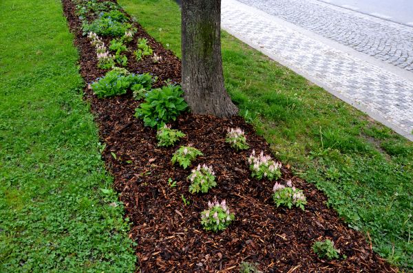 Mulch Replacement Service in Utica