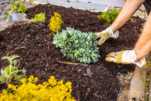 Weeding And Mulching in Utica