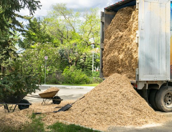 Wood Chips Delivery in Utica