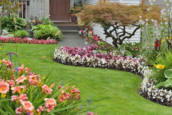 Perennial Landscaping in Utica