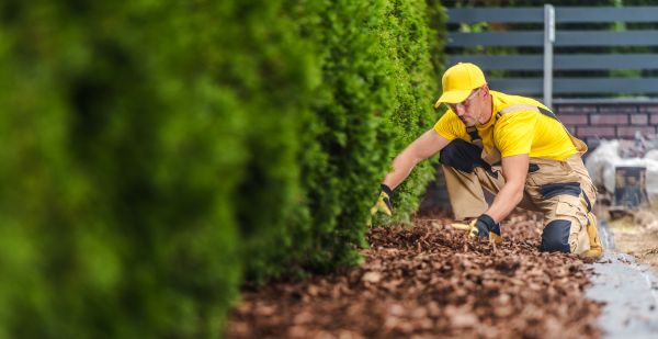 Cypress Mulch Installation in Utica