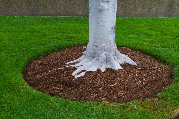 Brown Mulch Installation in Utica