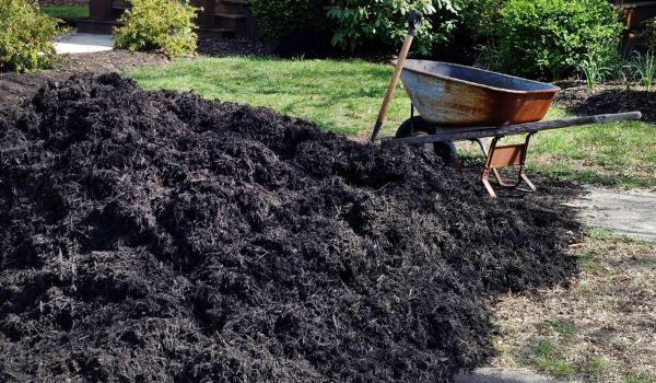 Black Mulch Installation in Utica