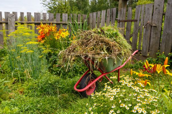 Garden Cleanup Service in Utica