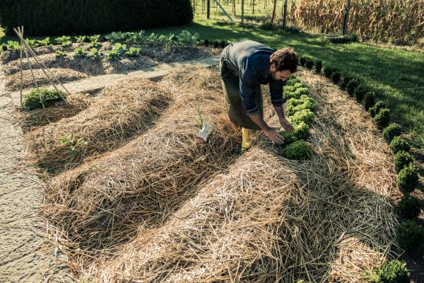 Straw Mulching Service in Utica