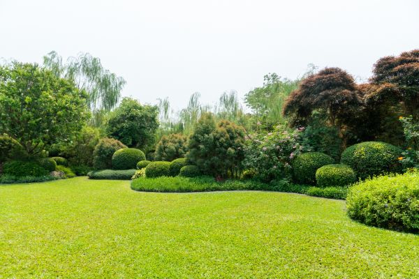 Tree Landscaping in Utica
