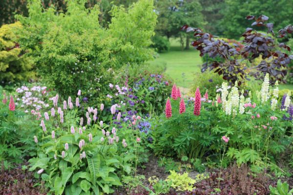 Flower Bed Planting in Utica