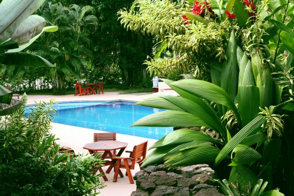 Tropical Garden Landscaping in Utica
