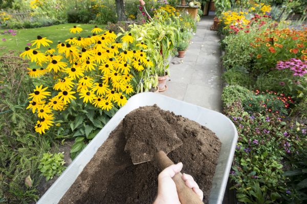 Topsoil Replacement in Utica
