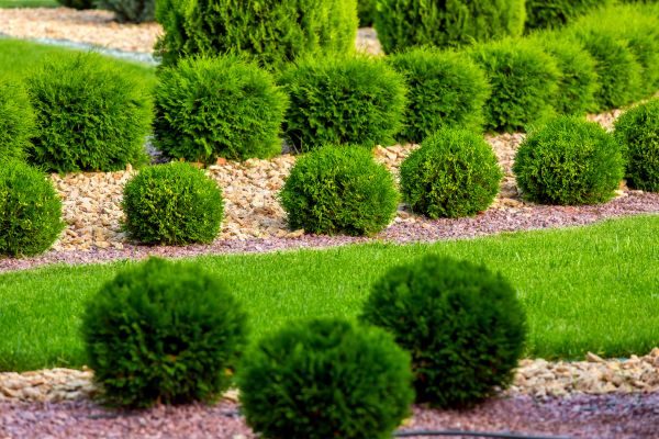 Bush Replacement in Utica