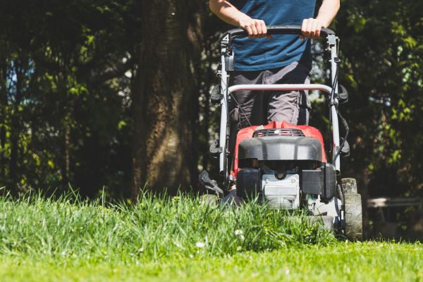 Garden Trimming Service in Utica