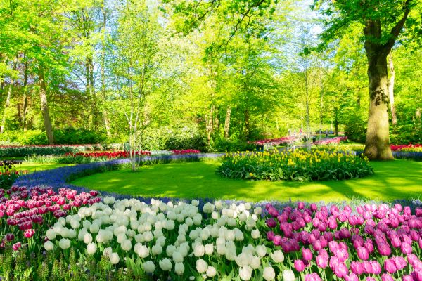 Flower Landscaping in Utica