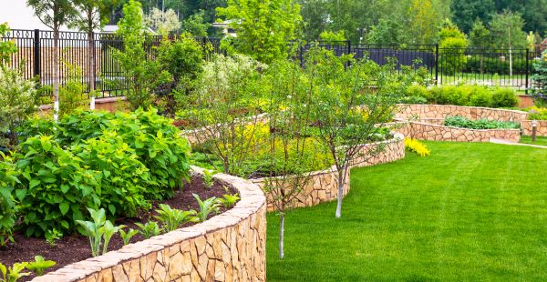 Yard Makeover Service in Utica