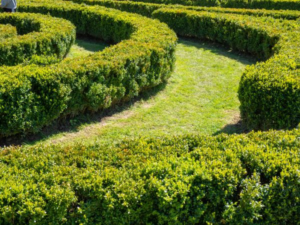 Bush Landscaping in Utica