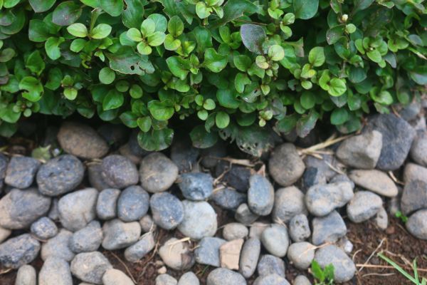 River Stone Installation in Utica