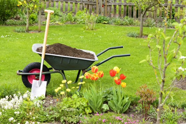 Spring Yard Renovation in Utica