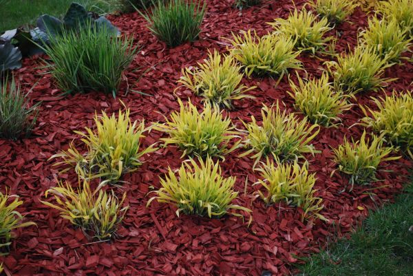 Red Mulch Installation in Utica