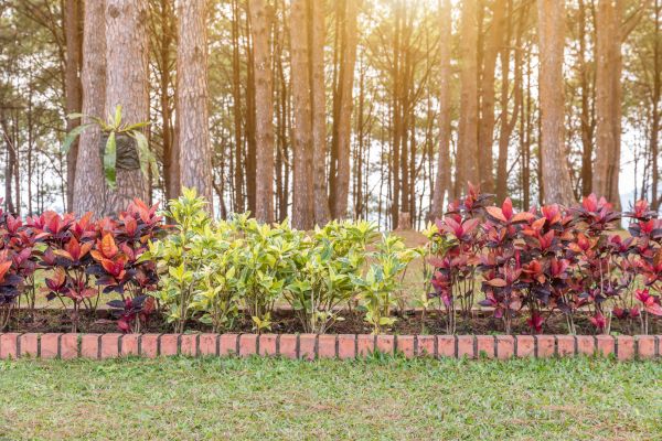 Small Garden Landscaping in Utica