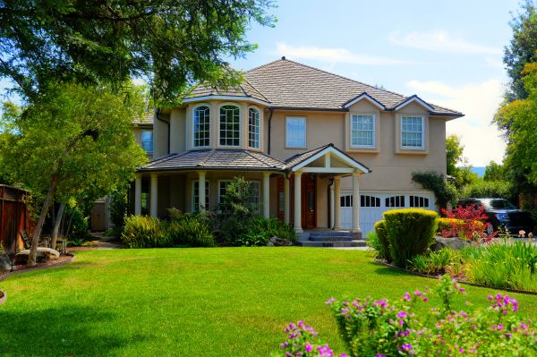 Large Yard Landscaping in Utica