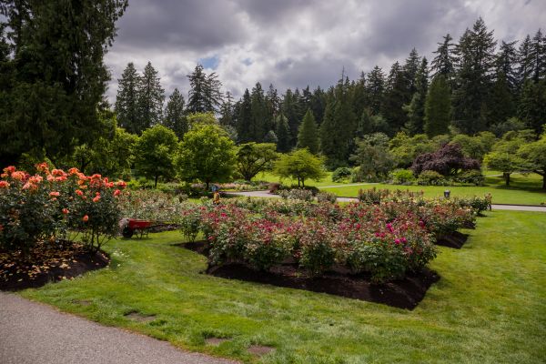 Flower Garden Landscaping in Utica