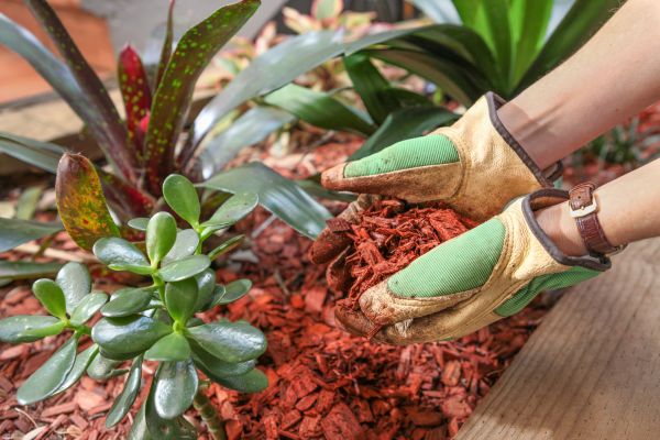 Cedar Mulch Installation in Utica