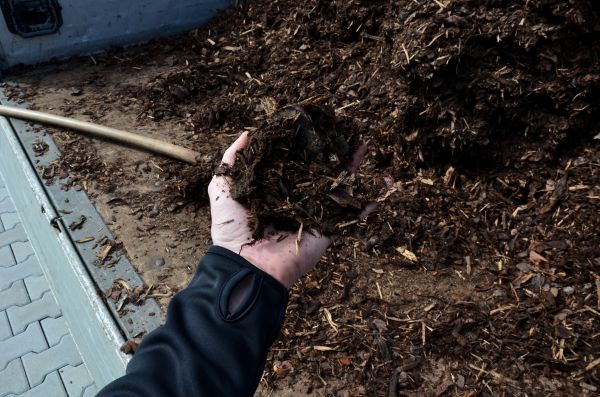 Condo Mulching in Utica
