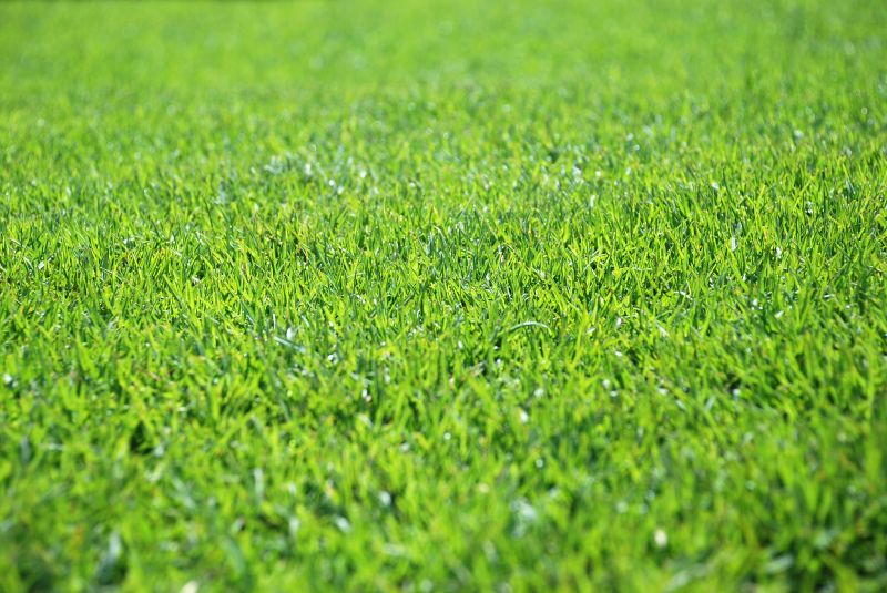 Drought Resistant Landscaping