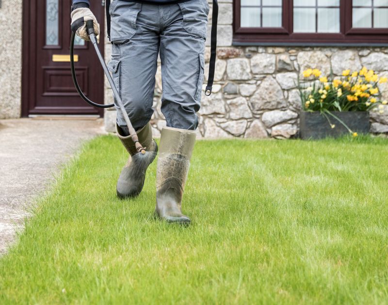 Landscaping in Spring